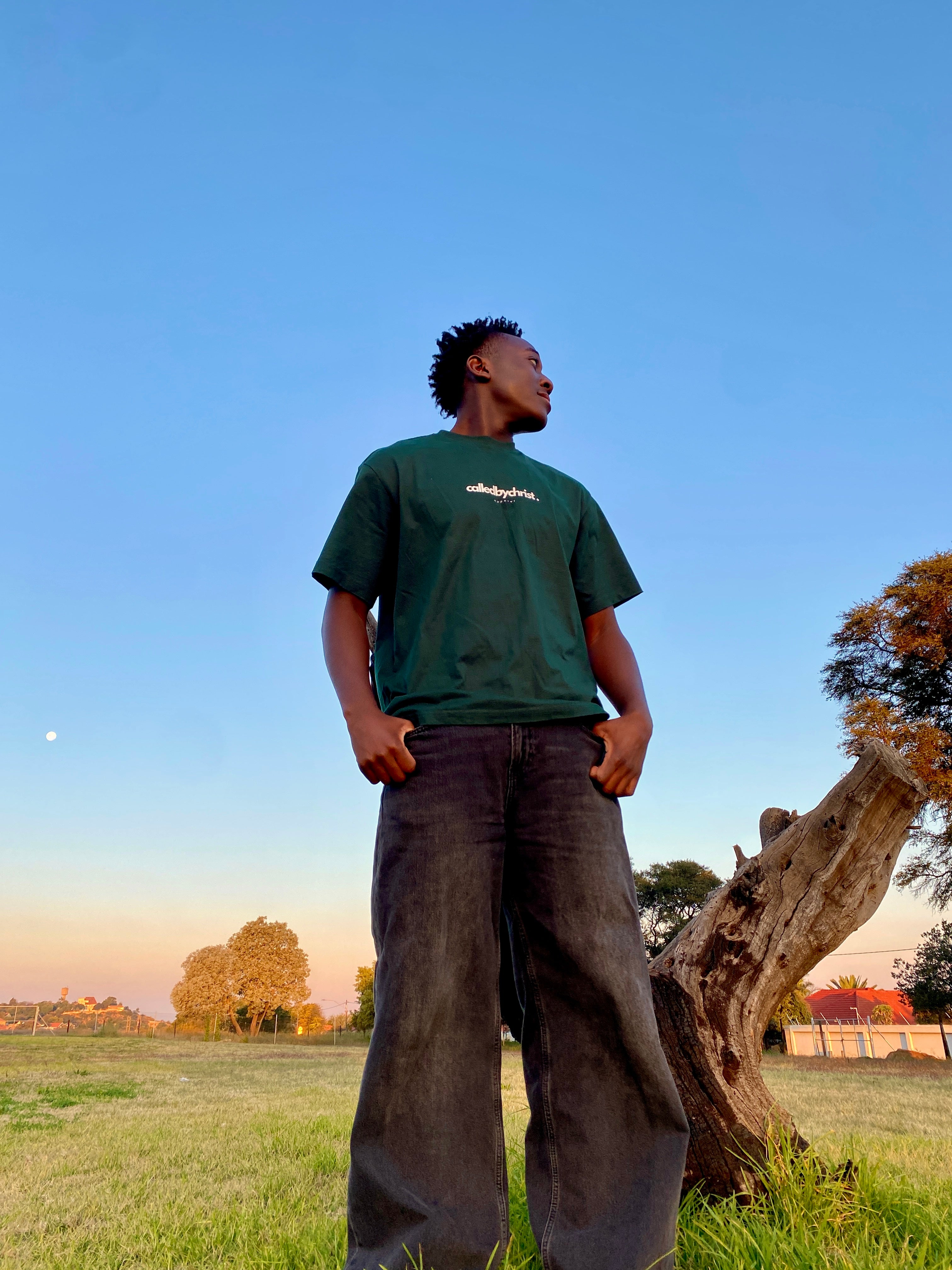 Philippians 4 Series: Forest